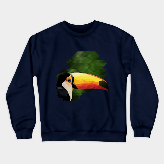 toucan Crewneck Sweatshirt by gazonula